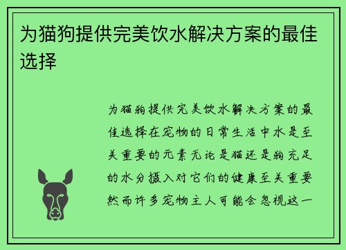 为猫狗提供完美饮水解决方案的最佳选择